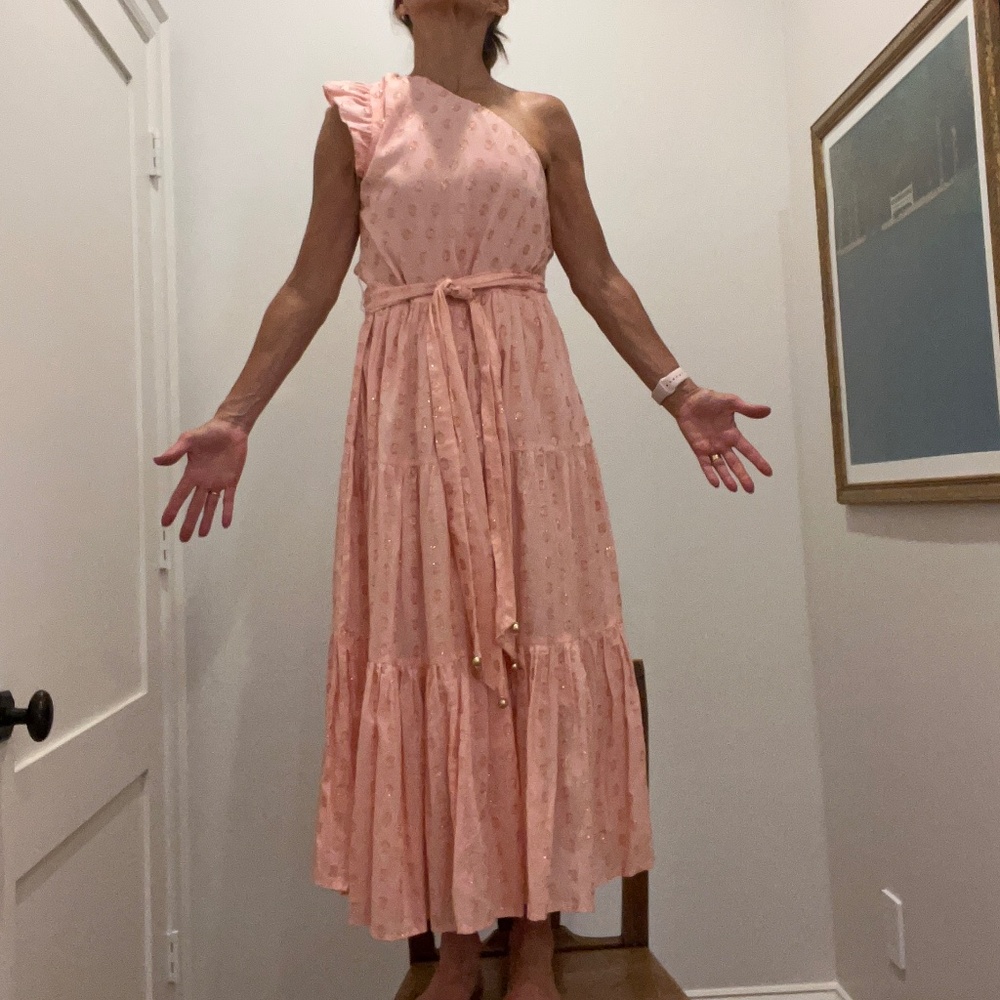 NWT Karina Grimaldi Midi Dress